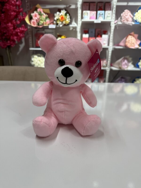 Pembe Ayıcık 24 Cm