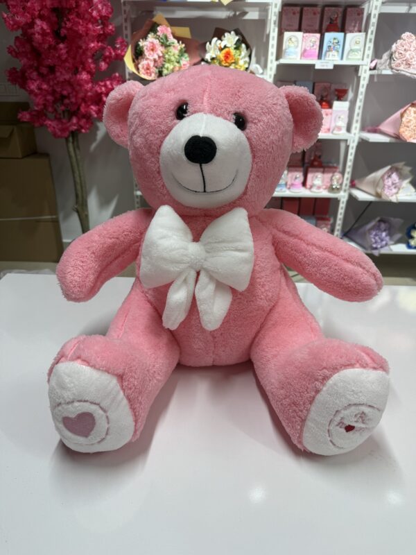 Pembe Peluş Evren Ayısı (70~80 cm)