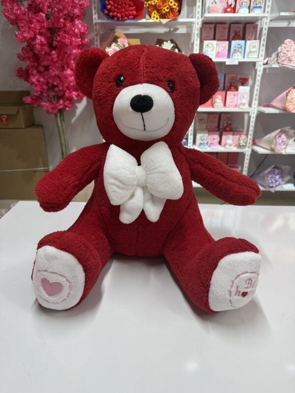 Kırmızı Peluş Evren Ayısı (70~80 cm)